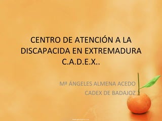 CENTRO DE ATENCIÓN A LA DISCAPACIDA EN EXTREMADURA C.A.D.E.X.. Mª ÁNGELES ALMENA ACEDO CADEX DE BADAJOZ 