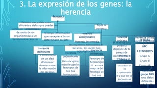 Codominante Unidad 3. genetica | PPTX