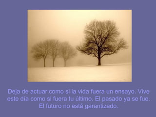 Deja de actuar como si la vida fuera un ensayo. Vive
este día como si fuera tu último. El pasado ya se fue.
           El futuro no está garantizado.
 