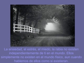 La ansiedad, el estrés, el miedo, la rabia no existen
     independientemente de ti en el mundo. Ellos
simplemente no existen en el mundo físico, aun cuando
        hablemos de ellos como si existieran.
 