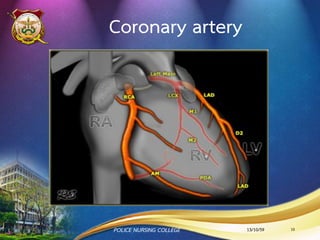 Coronary artery
13/10/59POLICE NURSING COLLEGE 10
 