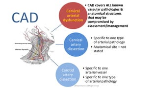 @TaylorAlanJ & @RogerKerry1
Cervical
arterial
dysfunction
• CAD covers ALL known
vascular pathologies &
anatomical structu...