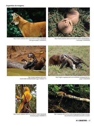 – 47
Sugestões de imagens:
http://msalx.viajeaqui.abril.com.br/2012/10/03/1335/6IivB/
lobo-guara.jpeg?1349286325
http://msalx.viajeaqui.abril.com.br/2012/10/03/1335/6IivB/tatu-
-bola.jpeg?1349286496
http://msalx.viajeaqui.abril.com.
br/2012/06/12/0852/6IivB/07.jpg?1339502173
http://imgms.viajeaqui.abril.com.br/65/foto-ampliada-842-0c.
jpeg?1333634648
http://msalx.viajeaqui.abril.com.br/2012/10/03/1336/6IivB/
ararajuba.jpeg?1349286313
http://viajeaqui.abril.com.br/national-geographic/blog/curiosida-
de-animal/onca-pintada-ecoturismo-oncafar/
 
