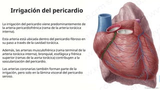 Irrigación del pericardio
La irrigación del pericardio viene predominantemente de
la arteria pericardiofrénica (rama de la arteria torácica
interna).
Esta arteria está ubicada dentro del pericardio fibroso en
su paso a través de la cavidad torácica.
Además, las arterias musculofrénica (rama terminal de la
arteria torácica interna), bronquial, esofágica y frénica
superior (ramas de la aorta torácica) contribuyen a la
vascularización del pericardio.
Las arterias coronarias también forman parte de la
irrigación, pero solo en la lámina visceral del pericardio
seroso.
 