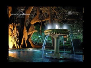 Cadiz rincones gaditanos