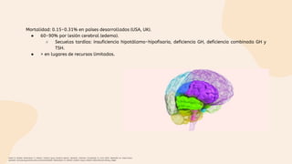 Mortalidad: 0.15-0.31% en países desarrollados (USA, UK).
● 60-90% por lesión cerebral (edema).
○ Secuelas tardías: insuficiencia hipotálamo-hipofisaria, deficiencia GH, deficiencia combinada GH y
TSH.
● > en lugares de recursos limitados.
Gasler N. Diabetic ketoacidosis in children: Cerebral injury (cerebral edema). Uptodate. [Internet]. [Consultado 21 Junio 2022]. Disponible en: https://www-
uptodate-com.ezproxy.javeriana.edu.co/contents/diabetic-ketoacidosis-in-children-cerebral-injury-cerebral-edema?source=history_widget
 