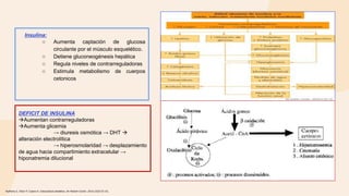 Insulina:
○ Aumenta captación de glucosa
circulante por el músculo esquelético.
○ Detiene gluconeogénesis hepática
○ Regula niveles de contrarreguladoras
○ Estimula metabolismo de cuerpos
cetonicos
Hofheinz S, Villar P, Cuesta A. Cetoacidosis diabética. An Pediatr Contin. 2014;12(2):55-61.
DEFICIT DE INSULINA
Aumentan contrarreguladoras
Aumenta glicemia
→ diuresis osmótica → DHT 
alteración electrolítica
→ hiperosmolaridad → desplazamiento
de agua hacia compartimiento extracelular →
hiponatremia dilucional
 