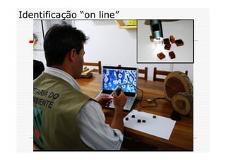 Identificação “on line”
 