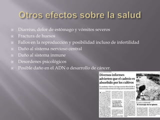 Otros efectos sobre la saludDiarréas, dolor de estómago y vómitos severos Fractura de huesos Fallos en la reproducción y posibilidad incluso de infertilidad Daño al sistema nervioso central Daño al sistema inmune Desordenes psicológicos Posible daño en el ADN o desarrollo de cáncer.