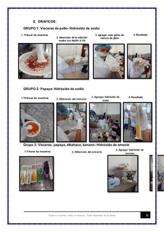 6Todo es veneno, nada es veneno. Todo depende de la dosis
8. GRAFICOS:
GRUPO 1: Vísceras de pollo- Hidróxido de sodio
GRUPO 2: Papaya- Hidróxido de sodio
Grupo 3: Vísceras, papaya, albahaca, banano- Hidróxido de amonio
1. Triturar las muestras
2. obtención de la solución
madre con NaOH 0.1N
3. agregar unas gotas de
cloruro de plata
4. Resultado
1.Ttriturar las muestras 2. Obtención del extracto
3. Agregar hidróxido de
sodio
4. Resultado
1.Triturar las muestras 2. Obtención del extracto
3. Agregar hidróxido de
amonio
 