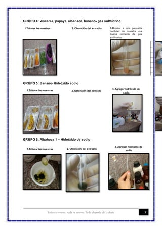 7Todo es veneno, nada es veneno. Todo depende de la dosis
GRUPO 4: Vísceras, papaya, albahaca, banano- gas sulfhídrico
GRUPO 5: Banano- Hidróxido sodio
GRUPO 6: Albahaca 1 – Hidróxido de sodio
2. Obtención del extracto1.Triturar las muestras 3.Circular a una pequeña
cantidad de muestra una
buena corriente de gas
sulfhídrico
1.Triturar las muestras 2. Obtención del extracto
3. Agregar hidróxido de
sodio
1.Triturar las muestras 2. Obtención del extracto
3. Agregar hidróxido de
sodio
 
