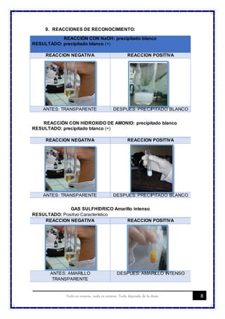 8Todo es veneno, nada es veneno. Todo depende de la dosis
9. REACCIONES DE RECONOCIMIENTO:
REACCIÓN CON NaOH: precipitado blanco
RESULTADO: precipitado blanco (+)
REACCION NEGATIVA REACCION POSITIVA
ANTES: TRANSPARENTE DESPUES: PRECIPITADO BLANCO
REACCIÓN CON HIDROXIDO DE AMONIO: precipitado blanco
RESULTADO: precipitado blanco (+)
REACCION NEGATIVA REACCION POSITIVA
ANTES: TRANSPARENTE DESPUES: PRECIPITADO BLANCO
GAS SULFHIDRICO Amarillo intenso
RESULTADO: Positivo Característico
REACCION NEGATIVA REACCION POSITIVA
ANTES: AMARILLO
TRANSPARENTE
DESPUES: AMARILLO INTENSO
 