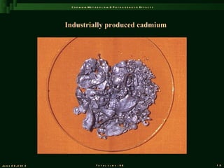 C a d m iu m M e t a b o l is m & P a t h o g e n e s is E f f e c t s




                       Industrially produced cadmium




Ju n e 2 6 , 2 0 1 2                        T o t a l s l id s : 9 6                             1 3
 