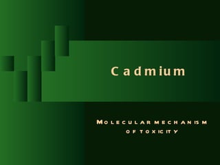 C a d m iu m


M o l e c u l a r m e c h a n is m
         o f t o x ic it y
 