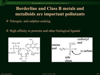 C a d m iu m M e t a b o l is m & P a t h o g e n e s is E f f e c t s



                       Borderline and Class B metals and
                       metalloids are important pollutants
               Nitrogen- and sulphur-seeking

               High affinity to proteins and other biological ligands




Ju n e 2 6 , 2 0 1 2                                 T o t a l s l id s : 9 6                             40
 