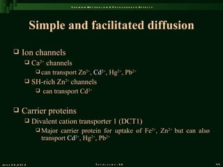 C a d m iu m M e t a b o l is m & P a t h o g e n e s is E f f e c t s




                       Simple and facilitated diffusion

               Ion channels
                      Ca2+ channels
                         can   transport Zn2+, Cd2+, Hg2+, Pb2+
                      SH-rich Zn2+ channels
                           can transport Cd2+

               Carrier proteins
                      Divalent cation transporter 1 (DCT1)
                         Major    carrier protein for uptake of Fe2+, Zn2+ but can also
                            transport Cd2+, Hg2+, Pb2+


Ju n e 2 6 , 2 0 1 2                                       T o t a l s l id s : 9 6                             45
 