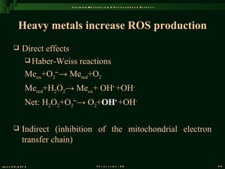 C a d m iu m M e t a b o l is m & P a t h o g e n e s is E f f e c t s




             Heavy metals increase ROS production
               Direct effects
                 Haber-Weiss reactions

                Meox+O2•-→ Mered+O2
                  Mered+H2O2→ Meox+ OH• +OH-
                  Net: H2O2+O2•-→ O2+OH• +OH-

               Indirect (inhibition of the mitochondrial electron
                transfer chain)

Ju n e 2 6 , 2 0 1 2                             T o t a l s l id s : 9 6                             50
 