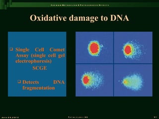 C a d m iu m M e t a b o l is m & P a t h o g e n e s is E f f e c t s




                         Oxidative damage to DNA


               Single Cell Comet
                Assay (single cell gel
                electrophoresis)
                        SCGE

                      Detects     DNA
                       fragmentation




Ju n e 2 6 , 2 0 1 2                                 T o t a l s l id s : 9 6                             51
 