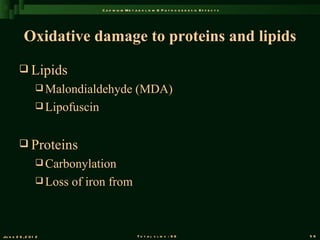 C a d m iu m M e t a b o l is m & P a t h o g e n e s is E f f e c t s




            Oxidative damage to proteins and lipids
          Lipids
                   Malondialdehyde                 (MDA)
                   Lipofuscin



          Proteins
                   Carbonylation
                   Loss   of iron from



Ju n e 2 6 , 2 0 1 2                                 T o t a l s l id s : 9 6                             56
 