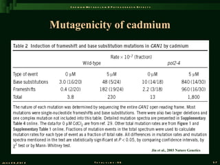 C a d m iu m M e t a b o l is m & P a t h o g e n e s is E f f e c t s




                       Mutagenicity of cadmium




                                                                                                   Jin et al., 2003 Nature Genetics


Ju n e 2 6 , 2 0 1 2                          T o t a l s l id s : 9 6                                                                57
 