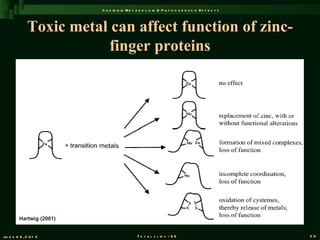 C a d m iu m M e t a b o l is m & P a t h o g e n e s is E f f e c t s



              Toxic metal can affect function of zinc-
                          finger proteins




         Hartwig (2001)


Ju n e 2 6 , 2 0 1 2                          T o t a l s l id s : 9 6                             59
 