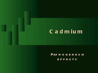 C a d m iu m



Pat h o g e n e s is
   effects
 