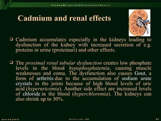 C a d m iu m M e t a b o l is m & P a t h o g e n e s is E f f e c t s




                  Cadmium and renal effects

               Cadmium accumulates especially in the kidneys leading to
                dysfunction of the kidney with increased secretion of e.g.
                proteins in urine (proteinuri) and other effects.

               The proximal renal tubular dysfunction creates low phosphate
                levels in the blood hypophosphatemia, causing muscle
                weaknesses and coma. The dysfunction also causes Gout, a
                form of arthritis due to the accumulation of sodium urate
                crystals in the joints because of high blood levels of uric
                acid (hyperuricemia). Another side effect are increased levels
                of chloride in the blood (hyperchloremia). The kidneys can
                also shrink up to 30%.


Ju n e 2 6 , 2 0 1 2                                T o t a l s l id s : 9 6                             62
 