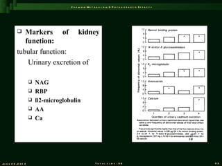 C a d m iu m M e t a b o l is m & P a t h o g e n e s is E f f e c t s




              Markers of kidney
               function:
            tubular function:
                Urinary excretion of

                          NAG
                          RBP
                          ß2-microglobulin
                          AA
                          Ca




Ju n e 2 6 , 2 0 1 2                                       T o t a l s l id s : 9 6                             63
 