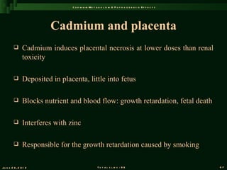 C a d m iu m M e t a b o l is m & P a t h o g e n e s is E f f e c t s




                         Cadmium and placenta
               Cadmium induces placental necrosis at lower doses than renal
                toxicity

               Deposited in placenta, little into fetus

               Blocks nutrient and blood flow: growth retardation, fetal death

               Interferes with zinc

               Responsible for the growth retardation caused by smoking

Ju n e 2 6 , 2 0 1 2                                 T o t a l s l id s : 9 6                             67
 
