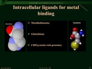 C a d m iu m M e t a b o l is m & P a t h o g e n e s is E f f e c t s
                                                                                                          de


                       Intracellular ligands for metal
                                                                                                             to
                                                                                                                xi
                                                                                                                  fi
                                                                                                                    ca
                                                                                                                         ti
                                                                                                                           on



                                   binding
         Histidine
                                   Metallothioneins



                                   Glutathione



                                   CRP(cysteine rich proteins)




Ju n e 2 6 , 2 0 1 2                                 T o t a l s l id s : 9 6                                                   77
 