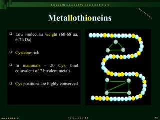 C a d m iu m M e t a b o l is m & P a t h o g e n e s is E f f e c t s
                                                                                                            de
                                                                                                               to
                                                                                                                  xi
                                                                                                                    fi


                                 Metallothioneins
                                                                                                                      ca
                                                                                                                           ti
                                                                                                                             on




               Low molecular weight (60-68 aa,
                6-7 kDa)

               Cysteine-rich

               In mammals – 20 Cys, bind
                eqiuvalent of 7 bivalent metals

               Cys positions are highly conserved




Ju n e 2 6 , 2 0 1 2                                   T o t a l s l id s : 9 6                                                   78
 