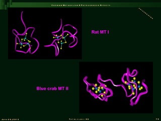 C a d m iu m M e t a b o l is m & P a t h o g e n e s is E f f e c t s
                                                                                                       de
                                                                                                          to
                                                                                                             xi
                                                                                                               fi
                                                                                                                 ca
                                                                                                                      ti
                                                                                                                        on




                                                                             Rat MT I




                       Blue crab MT II




Ju n e 2 6 , 2 0 1 2                              T o t a l s l id s : 9 6                                                   79
 