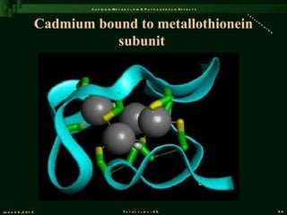 C a d m iu m M e t a b o l is m & P a t h o g e n e s is E f f e c t s
                                                                                                        de


                       Cadmium bound to metallothionein
                                                                                                           to
                                                                                                              xi
                                                                                                                fi
                                                                                                                  ca
                                                                                                                       ti
                                                                                                                         on


                                  subunit




Ju n e 2 6 , 2 0 1 2                               T o t a l s l id s : 9 6                                                   80
 