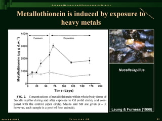 C a d m iu m M e t a b o l is m & P a t h o g e n e s is E f f e c t s
                                                                                                                    de
                                                                                                                       to

                 Metallothionein is induced by exposure to
                                                                                                                          xi
                                                                                                                            fi
                                                                                                                              ca
                                                                                                                                   ti
                                                                                                                                     on


                               heavy metals




                                                                                                        Nucella lapillus




                                                                                                     Leung & Furness (1998)

Ju n e 2 6 , 2 0 1 2                            T o t a l s l id s : 9 6                                                                  81
 