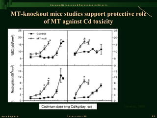 C a d m iu m M e t a b o l is m & P a t h o g e n e s is E f f e c t s
                                                                                                           de
                                                                                                              t   ox


          MT-knockout mice studies support protective role
                                                                                                                       if
                                                                                                                          ic
                                                                                                                             a   ti
                                                                                                                                   on


                   of MT against Cd toxicity




                                                                                                 Liu et al., 1999


Ju n e 2 6 , 2 0 1 2                        T o t a l s l id s : 9 6                                                                    84
 
