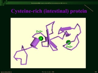 C a d m iu m M e t a b o l is m & P a t h o g e n e s is E f f e c t s
                                                                                                       de
                                                                                                          to
                                                                                                             xi
                                                                                                               fi


                   Cysteine-rich (intestinal) protein
                                                                                                                 ca
                                                                                                                      ti
                                                                                                                        on




                                     Zn2+




                                                                                                Zn2+




Ju n e 2 6 , 2 0 1 2                            T o t a l s l id s : 9 6                                                     88
 