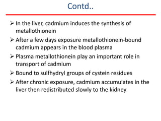 Contd..
 In the liver, cadmium induces the synthesis of
  metallothionein
 After a few days exposure metallothionein-bound
  cadmium appears in the blood plasma
 Plasma metallothionein play an important role in
  transport of cadmium
 Bound to sulfhydryl groups of cystein residues
 After chronic exposure, cadmium accumulates in the
  liver then redistributed slowly to the kidney
 
