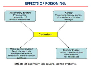 EFFECTS OF POISONING:
 