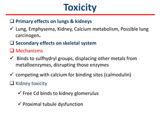 Toxicity
 Primary effects on lungs & kidneys
 Lung, Emphysema, Kidney, Calcium metabolism, Possible lung
  carcinogen.
 Secondary effects on skeletal system
 Mechanisms
 Binds to sulfhydryl groups, displacing other metals from
  metalloenzymes, disrupting those enzymes
 competing with calcium for binding sites (calmodulin)
 Kidney toxicity
    Free Cd binds to kidney glomerulus

    Proximal tubule dysfunction
 