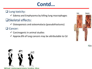 Contd…
 Lung toxicity:
    Edema and Emphysema by killing lung macrophages
Skeletal effects:
    Osteoporosis and osteomalacia (pseudofractures)
 Cancer:
    Carcinogenic in animal studies
    Approx.8% of lung cancers may be attributable to Cd
 