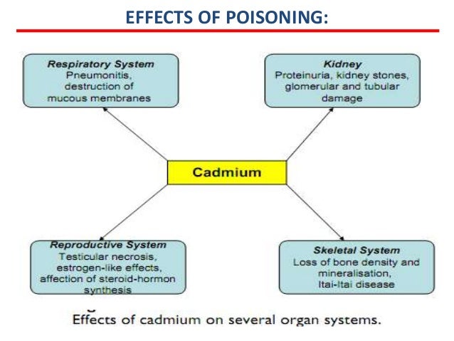 Effects of cadmium exposure