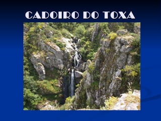 CADOIRO DO TOXA 