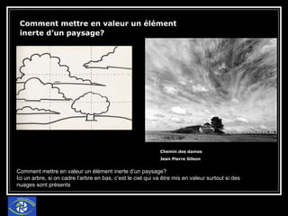 Comment mettre en valeur un élément inerte d’un paysage?   Chemin des dames Jean Pierre Gilson Comment mettre en valeur un élément inerte d’un paysage?  Ici un arbre, si on cadre l’arbre en bas, c’est le ciel qui va être mis en valeur surtout si des nuages sont présents  