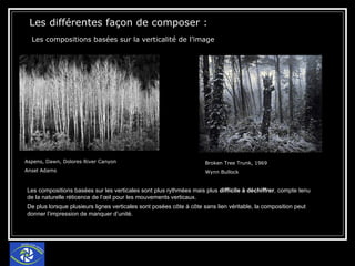 Les différentes façon de composer : Les compositions basées sur la verticalité de l’image  Broken Tree Trunk, 1969  Wynn Bullock Aspens, Dawn, Dolores River Canyon  Ansel Adams  Les compositions basées sur les verticales sont plus rythmées mais plus  difficile à déchiffrer , compte tenu de la naturelle réticence de l’œil pour les mouvements verticaux.  De plus lorsque plusieurs lignes verticales sont posées côte à côte sans lien véritable, la composition peut donner l’impression de manquer d’unité. 