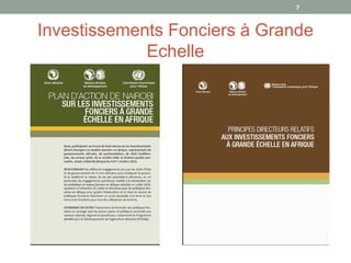 Investissements Fonciers à Grande
Echelle
7
 