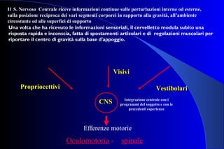 CNSCNS Integrazione centrale con i
programmi del soggetto e con le
precedenti esperienze
Il S. Nervoso Centrale riceve informazioni continue sulle perturbazioni interne od esterne,
sulla posizione reciproca dei vari segmenti corporei in rapporto alla gravità, all’ambiente
circostante ed alle superfici di supporto
PropriocettiviPropriocettivi
VisiviVisivi
VestibolariVestibolari
Efferenze motorie
Oculomotoria - spinale
Una volta che ha ricevuto le informazioni sensoriali, il cervelletto modula subito una
risposta rapida e inconscia, fatta di spostamenti articolari e di regolazioni muscolari per
riportare il centro di gravità sulla base d'appoggio.
 