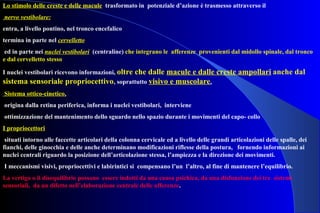 Lo stimolo delle creste e delle macule trasformato in potenziale d’azione è trasmesso attraverso il
nervo vestibolare:
entra, a livello pontino, nel tronco encefalico
termina in parte nel cervelletto
ed in parte nei nuclei vestibolari (centraline) che integrano le afferenze provenienti dal midollo spinale, dal tronco
e dal cervelletto stesso
I nuclei vestibolari ricevono informazioni, oltre che dalle macule e dalle creste ampollari anche dal
sistema sensoriale propriocettivo, soprattutto visivo e muscolare.
Sistema ottico-cinetico,
origina dalla retina periferica, informa i nuclei vestibolari, interviene
ottimizzazione del mantenimento dello sguardo nello spazio durante i movimenti del capo- collo
I propriocettori
situati intorno alle faccette articolari della colonna cervicale ed a livello delle grandi articolazioni delle spalle, dei
fianchi, delle ginocchia e delle anche determinano modificazioni riflesse della postura, fornendo informazioni ai
nuclei centrali riguardo la posizione dell’articolazione stessa, l’ampiezza e la direzione dei movimenti.
I meccanismi visivi, propriocettivi e labirintici si compensano l’un l’altro, al fine di mantenere l’equilibrio.
La vertigo o il disequilibrio possono essere indotti da una causa psichica, da una disfunzione dei tre sistemi
sensoriali, da un difetto nell’elaborazione centrale delle afferenze.
 