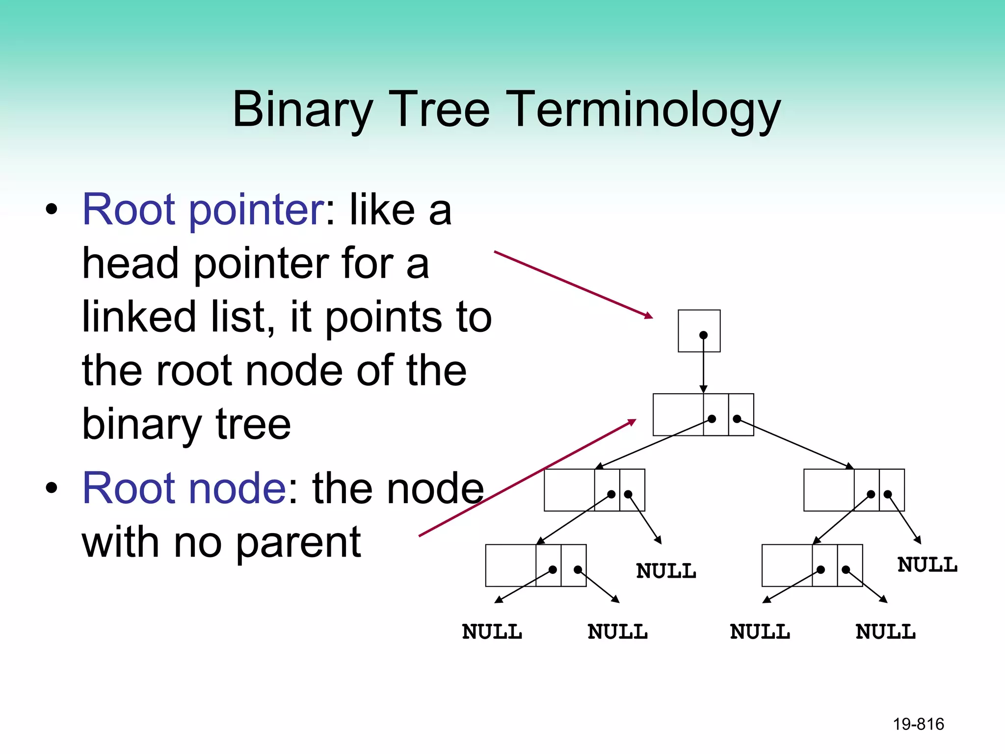Binary Tree Terminology
• Root pointer: like a
head pointer for a
linked list, it points to
the root node of the
binary tree
• Root node: the node
with no parent
19-816
NULL NULL
NULL NULL NULL NULL
 