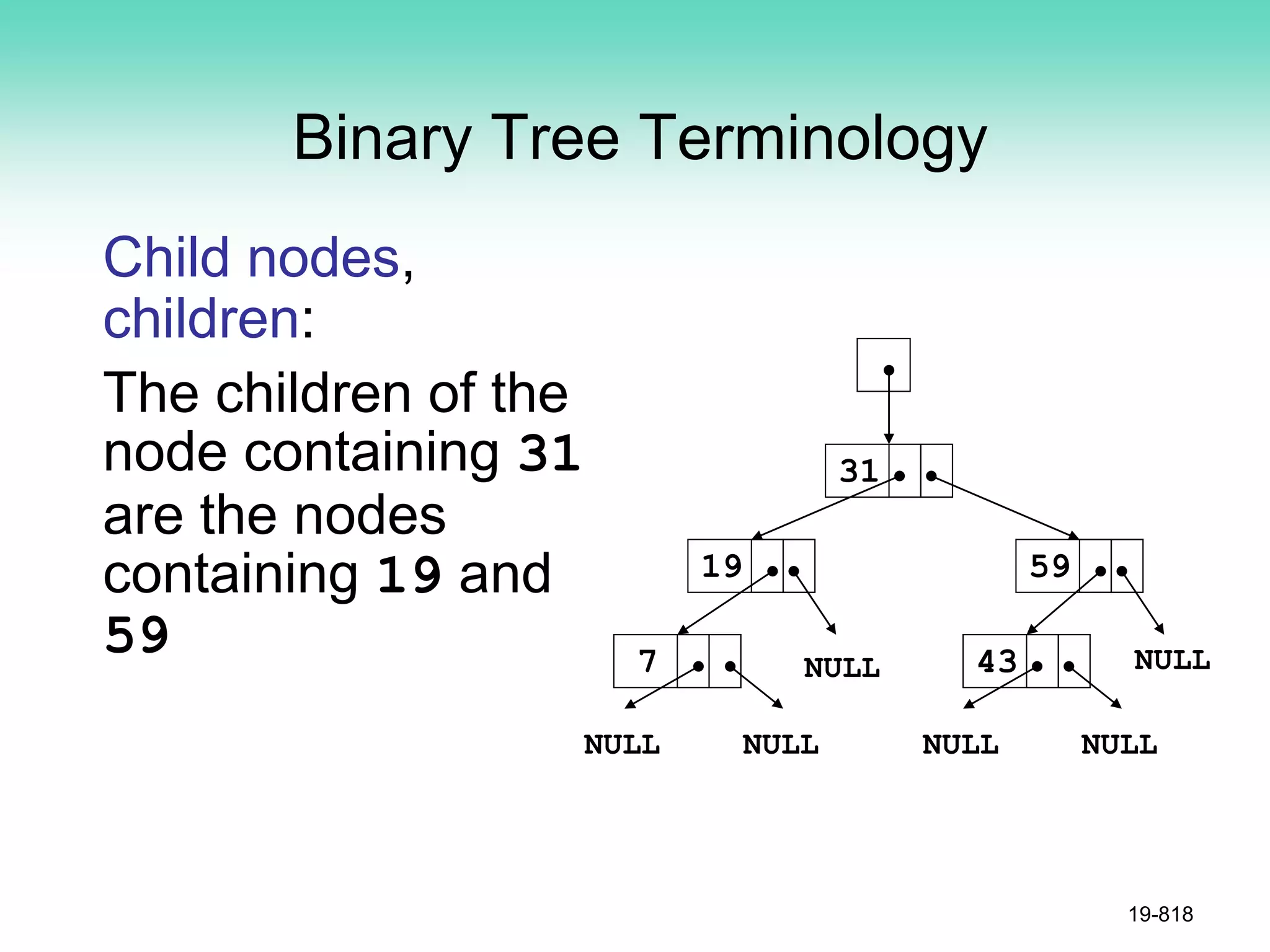 Binary Tree Terminology
Child nodes,
children:
The children of the
node containing 31
are the nodes
containing 19 and
59
19-818
NULL NULL
7
19
31
43
59
NULL NULL NULL NULL
 