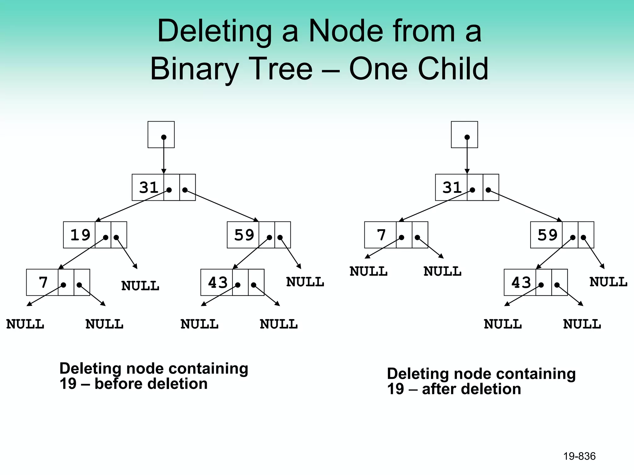 Deleting a Node from a
Binary Tree – One Child
19-836
NULL NULL
7
19
31
43
59
NULL NULL NULL NULL
NULL
7
31
43
59
NULL NULL
NULL NULL
Deleting node containing
19 – before deletion
Deleting node containing
19 – after deletion
 